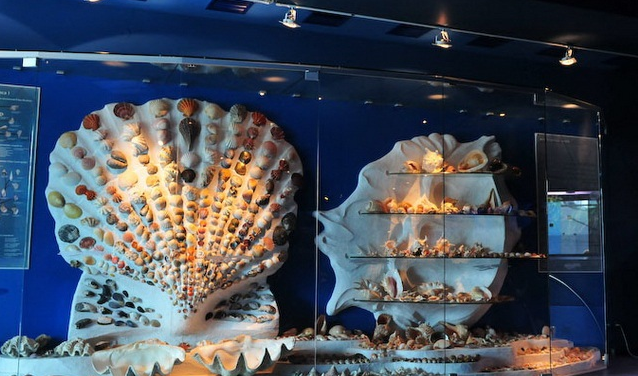 Музей мирового океана | Калининград